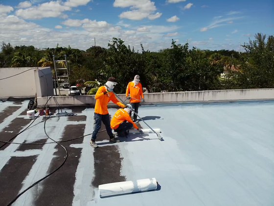 Roof Coatings