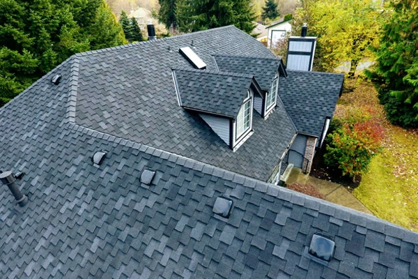 pro_home_roofer_residential_roof_repair_1