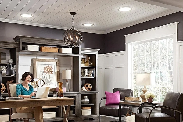 prohome_ny_pitched_roof_skylight_1